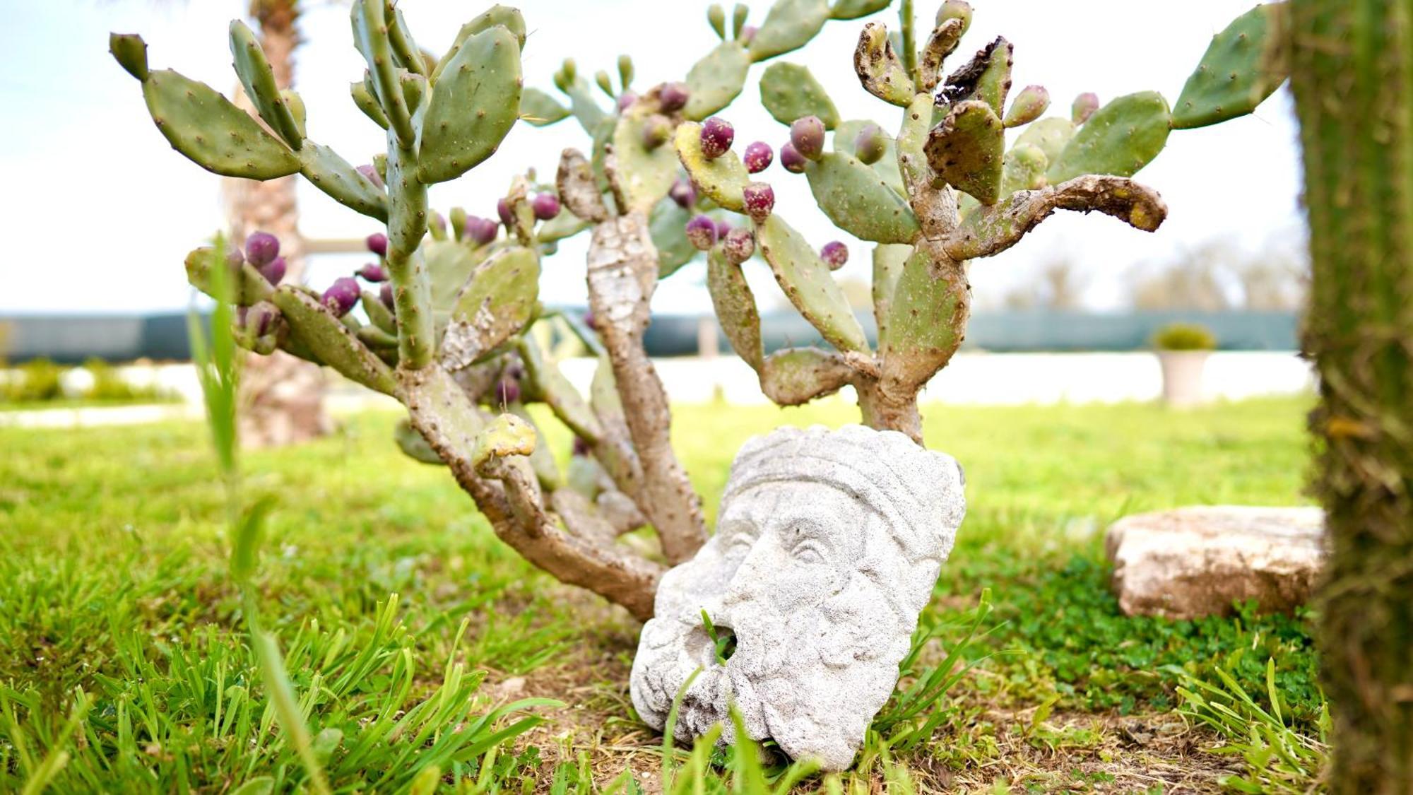 Villa Mia San Ligorio Kültér fotó